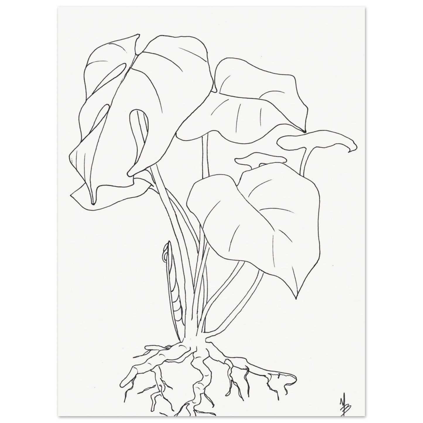 Inked Monstera