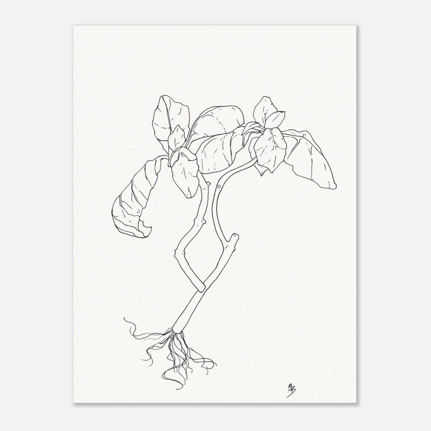 Inked Basil